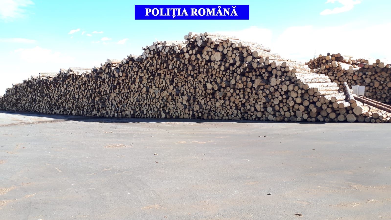 Actiune silvica Covasna martie 2019 - 01