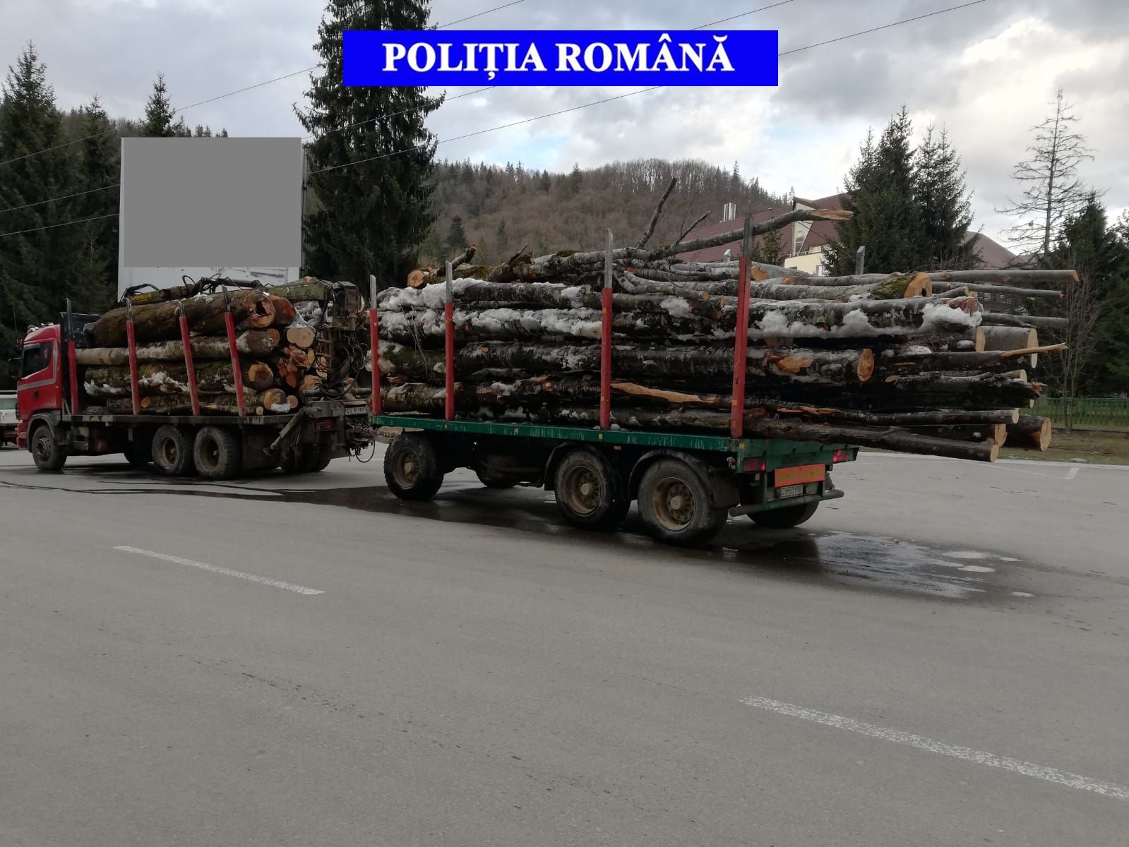 Actiune silvica Covasna martie 2019 - 02