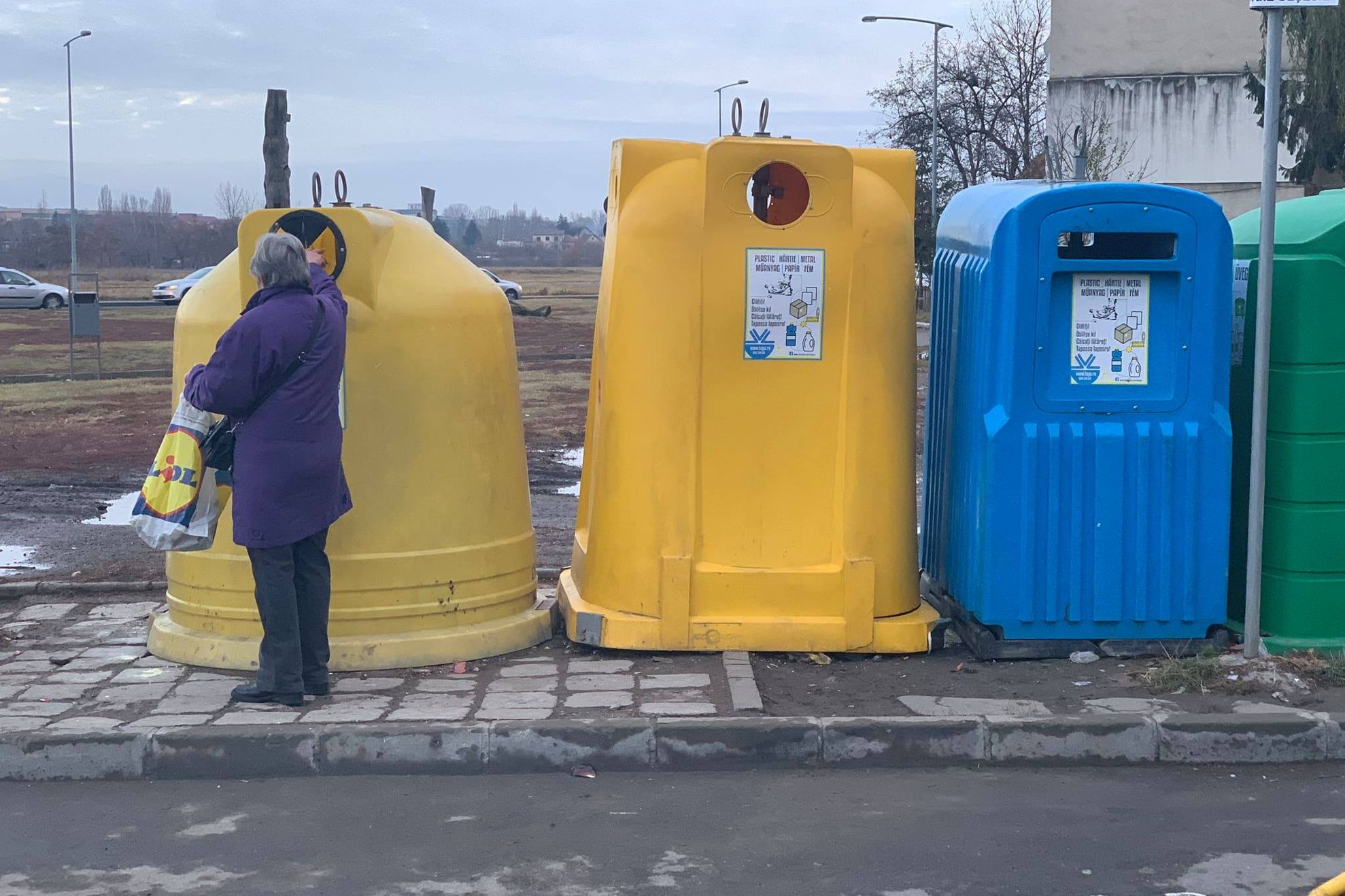 TEGA colectare deseuri