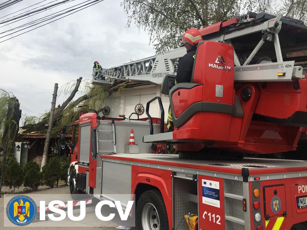 Copac cazut restaurant Ozun aprilie 2019 - 2