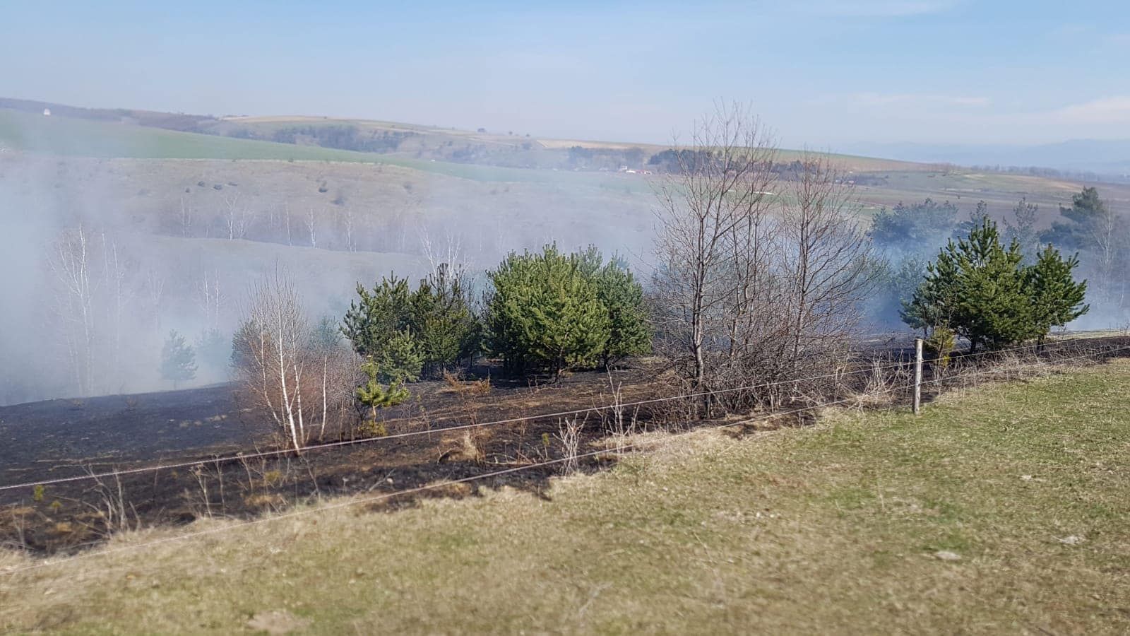 Incendiu vegetatie aprilie 2019