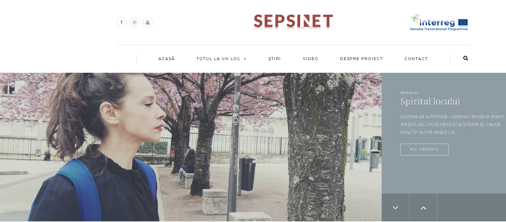 Sepsinet