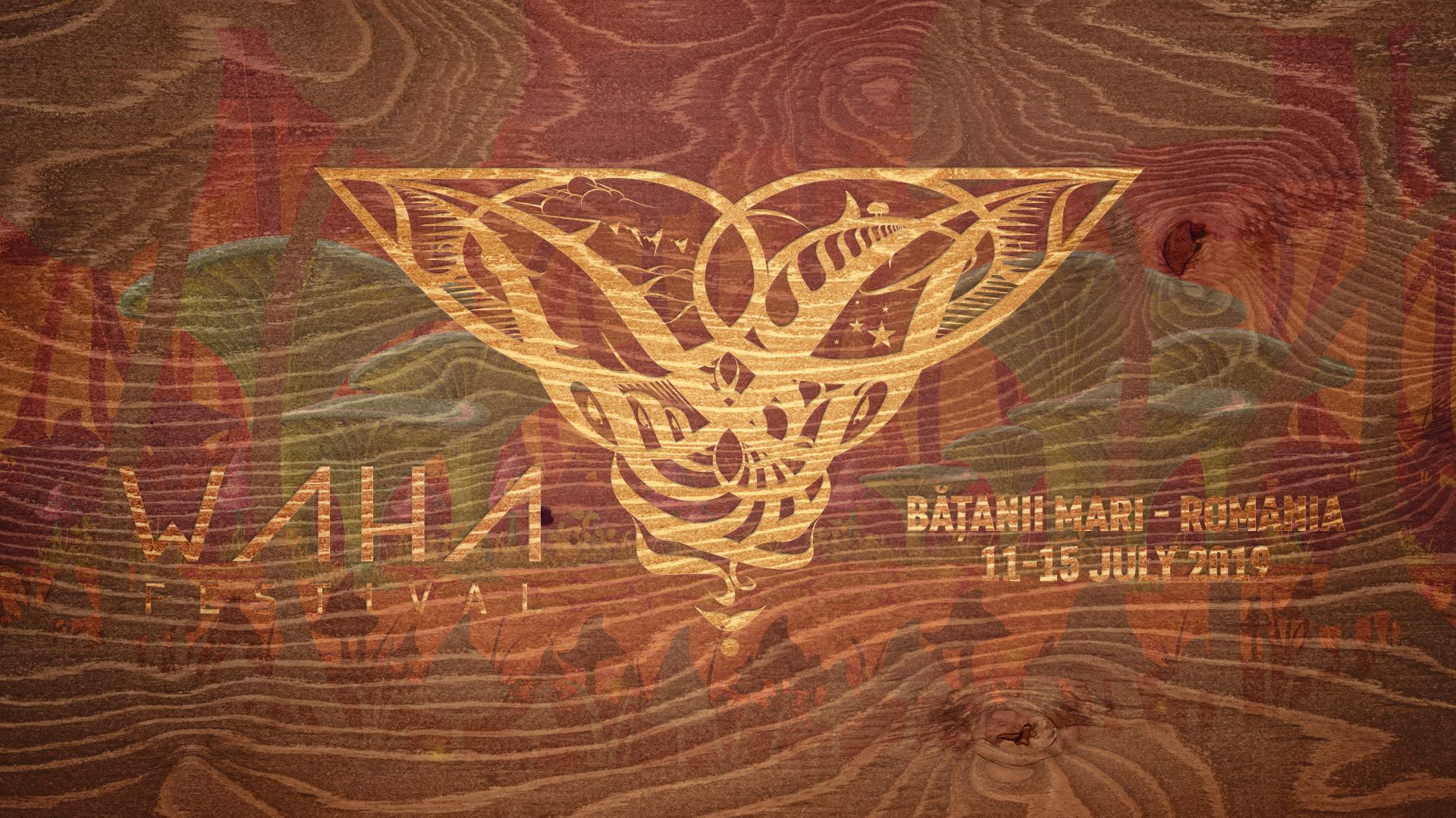 51294633_2489859171043914_7978647229793566720_o