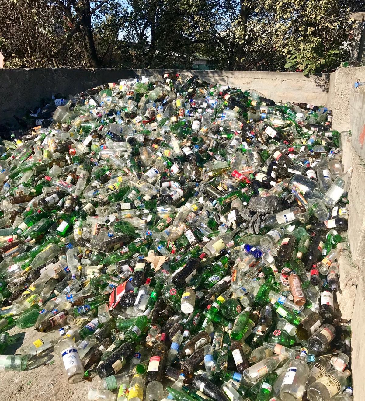 Colectare sticle octombrie 2019 - 1