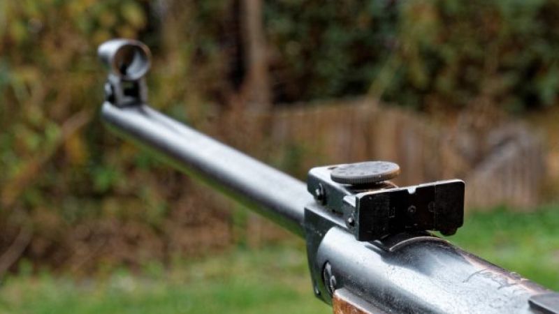 arges-posilist-impuscat-arma-de-vanatoare-366666