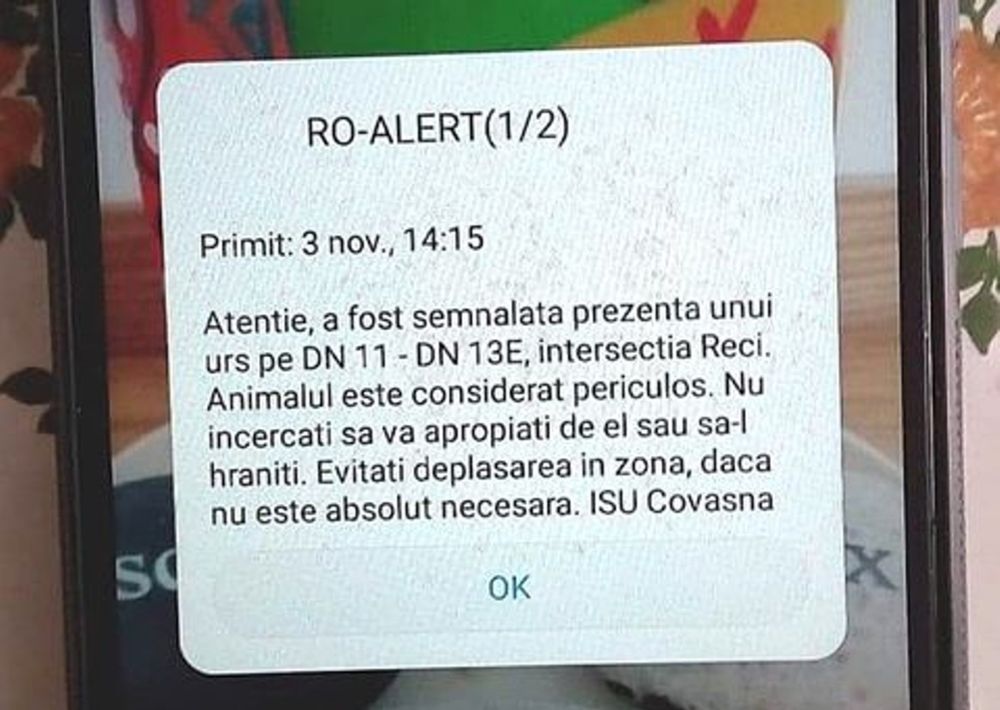 Avertizare RO-Alert: Un urs a fost semnalat în zona intersecţiei de la Reci