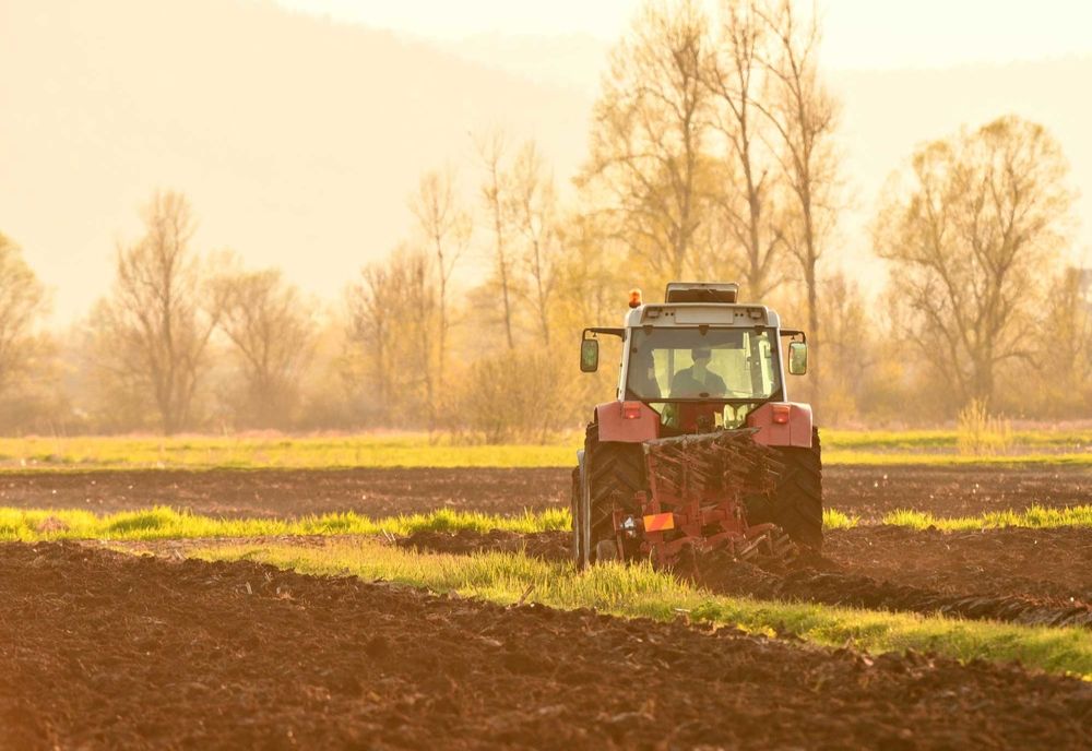 Patru cursuri de formare la Direcția Agricolă Covasna