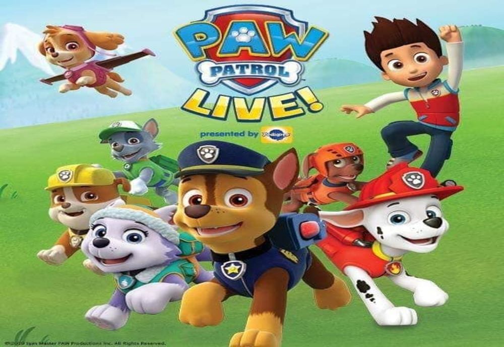 Paw Patrol vine la Sfântu Gheorghe