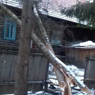 84733502_1440296492816886_8757845316234903552_n Cropped