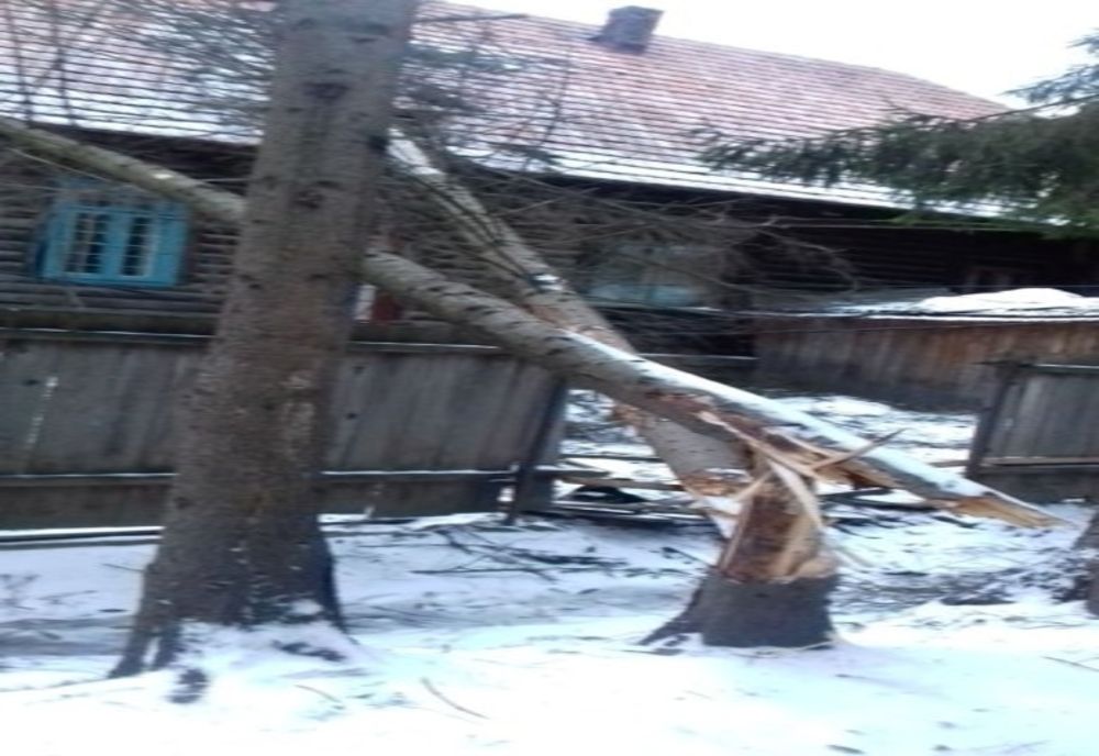 Cursurile Grădiniţei şi Şcolii Primare Oituz au fost reluate 