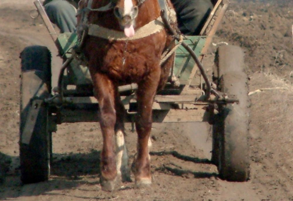 A trecut căruța peste el