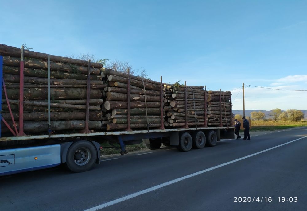 Amenzi totale de 21.000 lei și lemne confiscate, în valoare de aproximativ 12.500 lei după o acțiune a IPJ Covasna