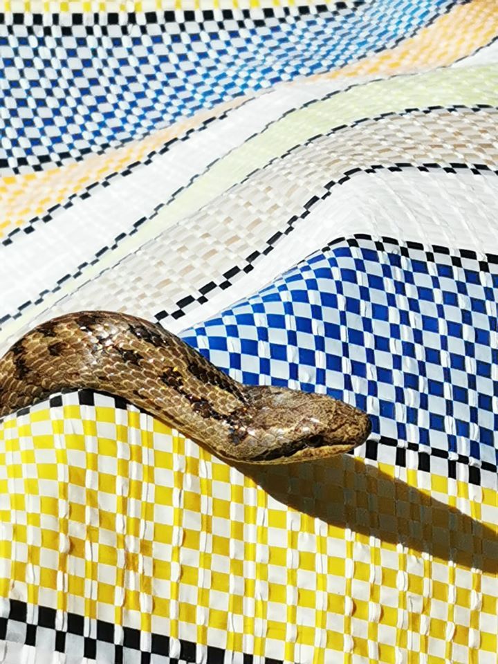 97815459_3456928994334555_5397908584010874880_o