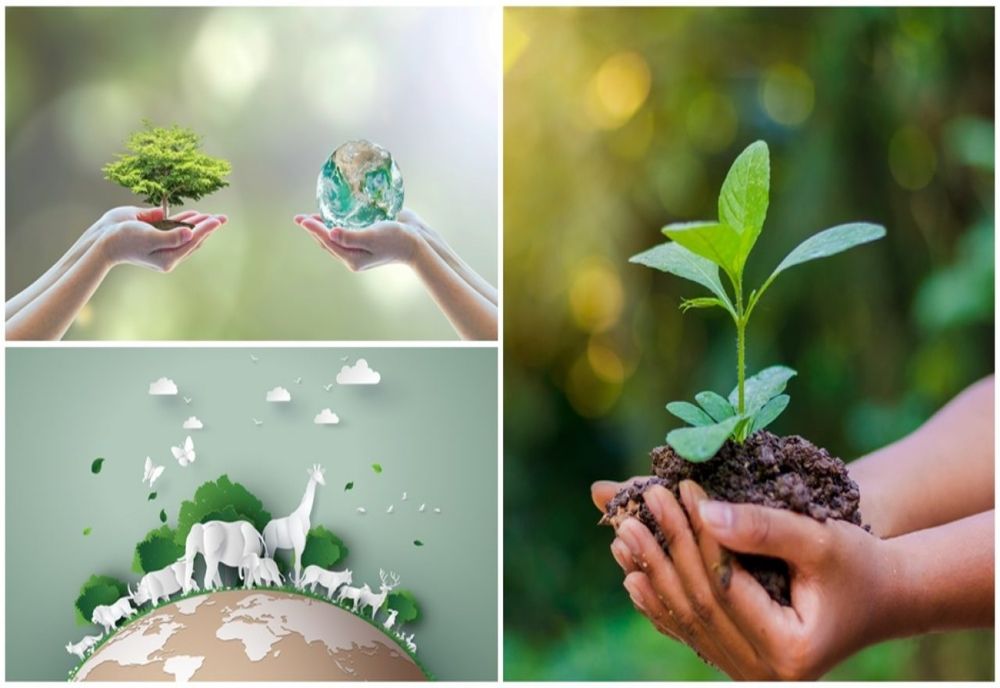 Azi e Ziua Mondială a Protecției Mediului. Mesajul Gărzii de Mediu Covasna