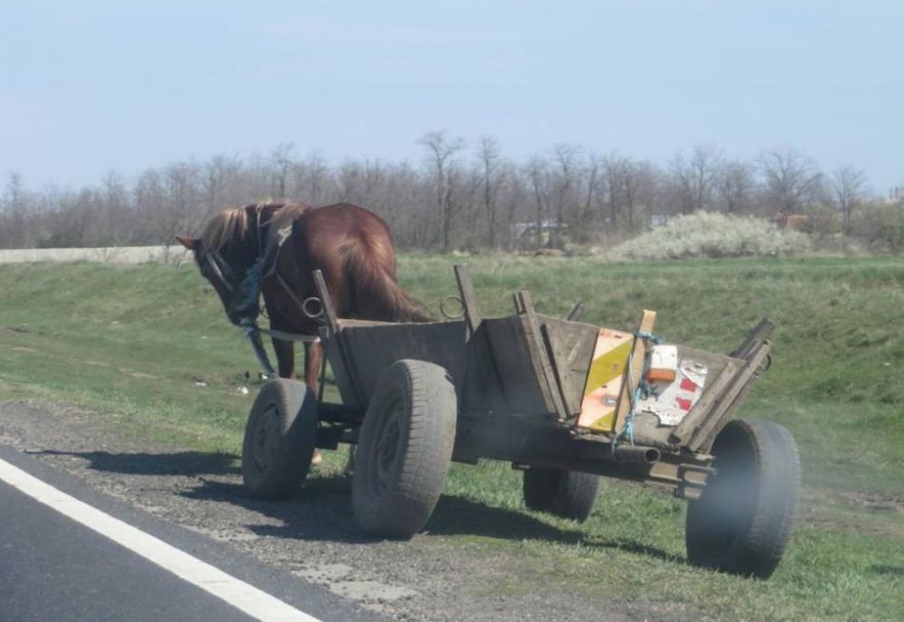 A fost călcat de căruța din care a căzut!