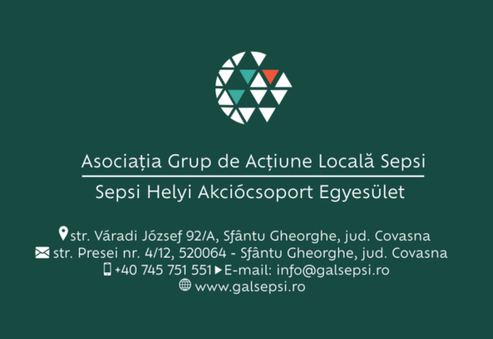 Cercetare amplă care are ca obiectiv îmbunătățirea situației tinerilor din Sfântu Gheorghe