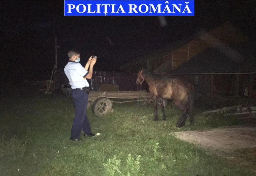 Bărbat cercetat pentru rănirea sau schingiuirea animalelor  