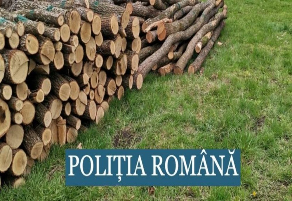 Doi bărbați reținuți pentru tăiere fără drept de arbori și tentativă la furt de arbori