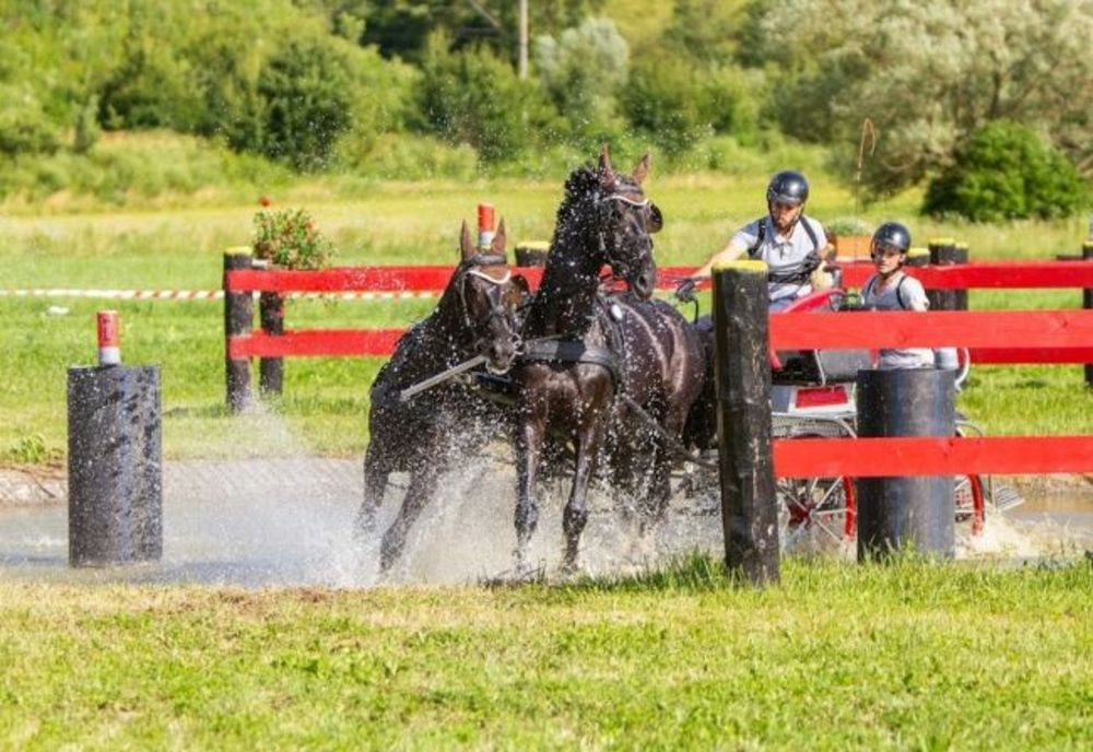 A treia ediție a concursului internațional de atelaje, la Olteni