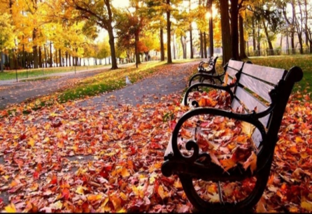 Prognoza meteo pe o lună. Cum va fi vremea până pe 18 octombrie