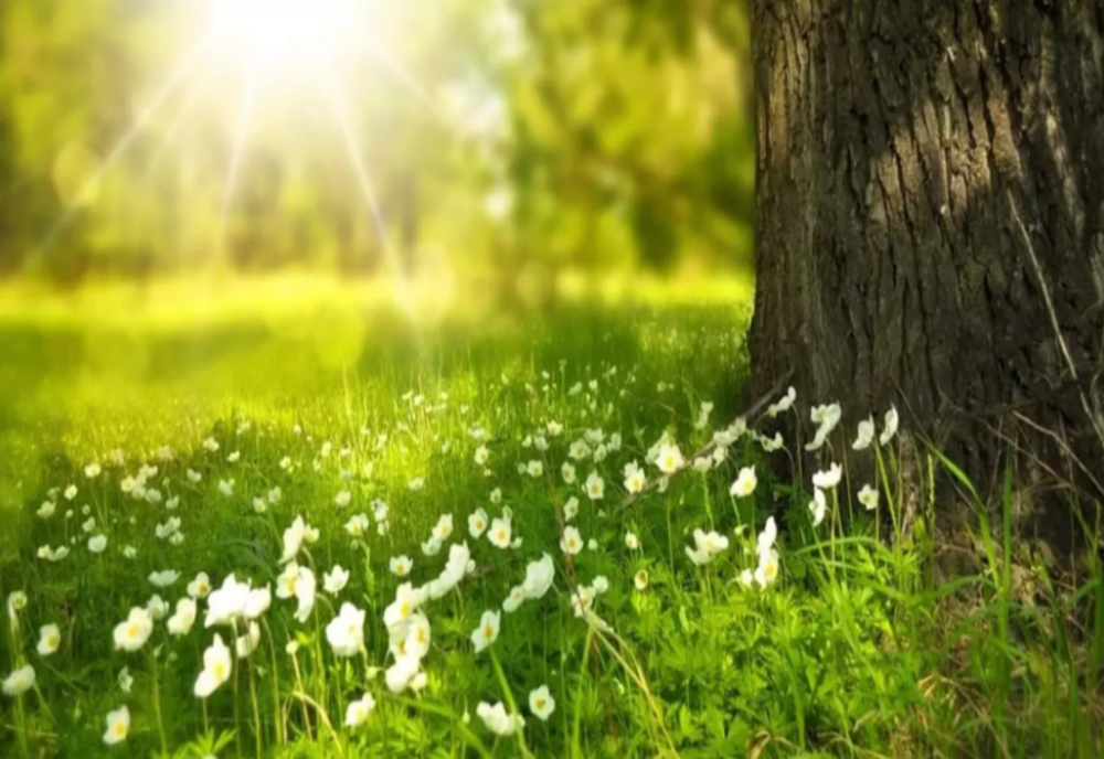 Vreme deosebit de caldă de Paște