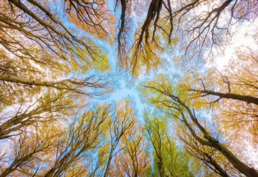 Caniculă de toamnă - temperaturi anormal de ridicate, în noiembrie: 27 de grade! Când revin ploile