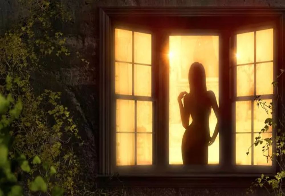 Cele mai rezistente PLANTE DE APARTAMENT. Plantează-le în ghiveci și vei avea mereu casa verde!