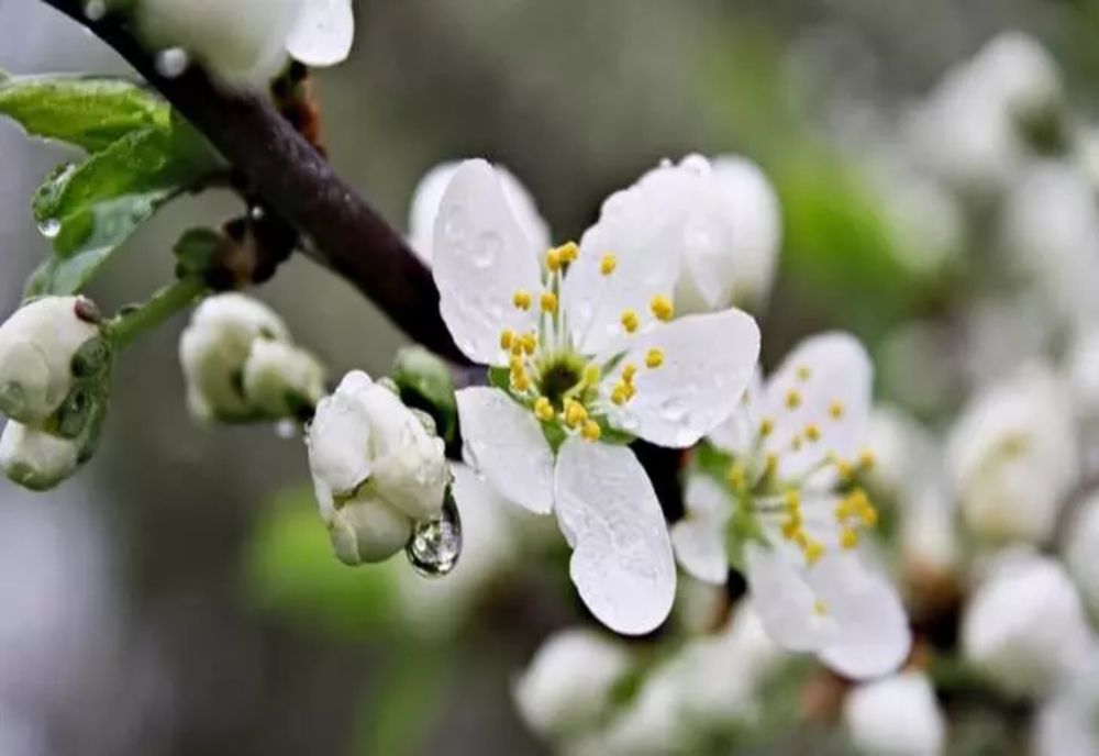 Ce se întâmplă cu vremea de Florii și Paște - Anunțul meteorologilor după valul de aer polar peste România