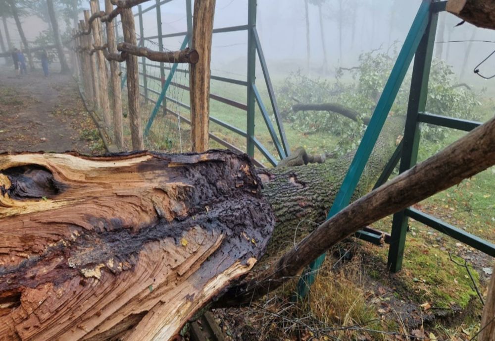 Furtunile au făcut ravagii în mai multe zone din țară