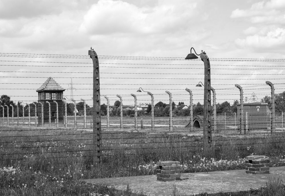 27 IANUARIE - COMEMORAREA A 80 DE ANI DE LA ELIBERAREA LAGĂRULUI AUSCHWITZ