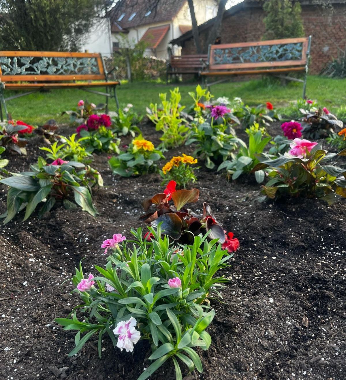 WhatsApp Image 2025-04-30 at 20.10.28