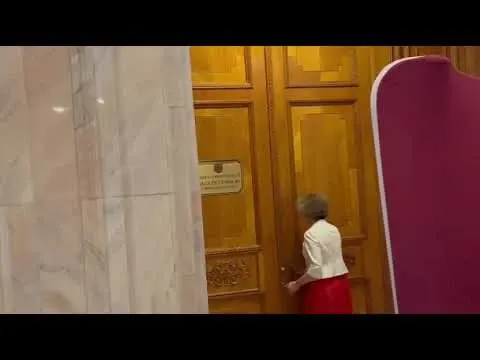 Președintele CCR, Simina Tănăsescu