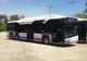 Primăria Sfântu Gheorghe va cumpăra 12 autobuze electrice