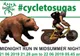 „Cycle to Șugaș” - Cea mai lungă noapte scurtă pe două roți