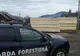 Amenzi de 6.000 lei în urma unei acțiuni comune a IPJ Covasna şi Gărzii Forestiere