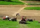 Prețurile terenurilor agricole în Covasna, Harghita și Brașov, între 4.000 și 7.000 de euro/ ha