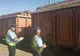 Peste 7.400 mc de lemne care trebuiau să ajungă în Alba şi Covasna, confiscate de poliţişti