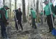 Peste 180.000 de puieți plantați în 2019, în afara fondului forestier, prin Direcția Silvică Covasna 