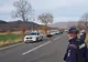 Prefectul de Harghita, demis după ce un urs a agonizat timp de 18 ore pe un drum din judeţ