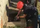 Și animelele sunt importante! Iepuri, berze, cai și pui de urși, printre vietățile salvate de pompierii covăsneni în acest an 