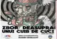 Spectacolul TAM „Zbor deasupra unui cuib de cuci”, amânat. Banii pot fi returnați