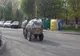 Prinşi după ce au furat mai mulţi baloți de fân