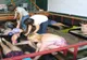 FOTO. „Dr. Peștișor-Cercul Părinților” al Centrului de Scufundări de la Dalnic a ajutat 120 de familii anul trecut