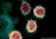 12 cazuri noi de infectare cu coronavirus, în județul Covasna