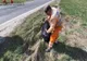 VIDEO Curățenia de primăvară în zona drumurilor naționale a demarat în forță în județul Covasna! 