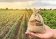Fermierii vor primi un bonus de 10%, dacă prelucrază în țară produsele agricole