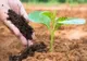 MADR: Noi norme pentru produse fertilizante comercializate în România