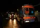 Șofer mort după ce mașina pe care o conducea a lovit un cerb!