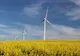 Statul, acuzat că FALIMENTEAZĂ producția de energie verde! Ce spun experții