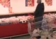 Masa de sărbători, mult mai săracă! Cele mai scumpe sărbători din istorie - mărturisirile pensionarilor